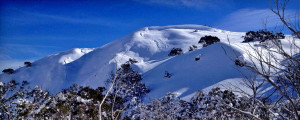 hotham accommodation packages