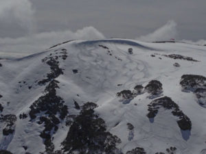 alpine easy access
